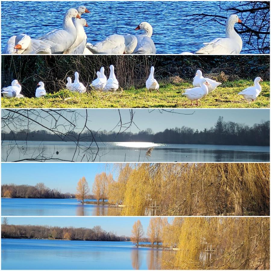 Ferienwohnung Casa Di Lago Heinsberg  Exteriér fotografie